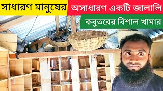 অল্প খরচে অসাধারণ একটি জালালি কবুতরের বিশাল খামার | বুনো কবুতর পালন পদ্ধতি | কবুতরের ঘর তৈরির নিয়ম