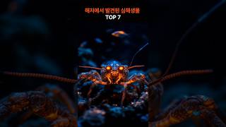 유튜브 쇼츠 | 해저에서 발견된 심해생물 TOP 7