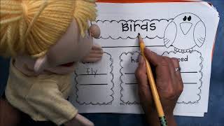 Kindergarten Tree Map - Birds