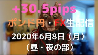 【FXライブ配信】ポンド円・FX専業トレーダーが本気で挑む！ 30万円チャレンジ(11日目)