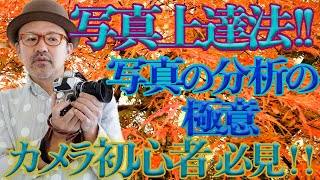 【写真上達法 ! ! !】写真を分析する方法！こうして写真は分析する。ベスト6_【写真家】橘田龍馬