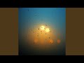 Rain on My Window