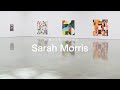 In the Gallery: Sarah Morris on 'Bye Bye Brazil' | White Cube