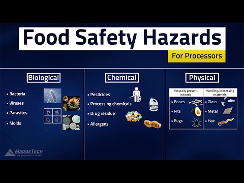 What are the 3 categories of food safety hazards?