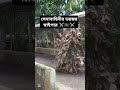 সেনাবাহিনীর ভইংকর স্নিপার 🪖⚔️🗡️ সেনাবাহিনী bdarmy