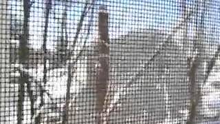 Smithtown Public Safety Abuse of Power Emergency Broadcast System Used to diminish loud operations.