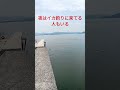 井口港@広島釣り場情報@広島県広島市西区商工センター８丁目６−１８