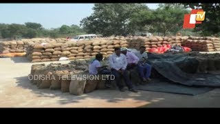 Farmers' Protest Over 'Katni Chatni' In Odisha's Kalahandi District