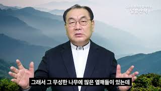 이사야 16~22장 (2025-008 김운성 목사와 함께하는 말씀산책) 2025년2월16일~22일