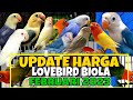 Update Harga Lovebird Biola Terbaru Edisi Bulan Februari 2023