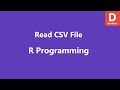 Read CSV File in R
