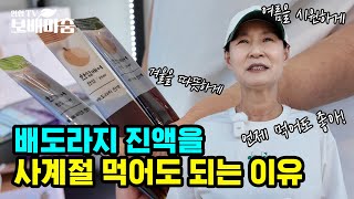 사계절 먹는 진액의 비밀! [한입배어]