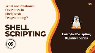 What are Relational Operators in Shell/Bash Programming? | Linux | Shell/Bash Scripting | Hacking