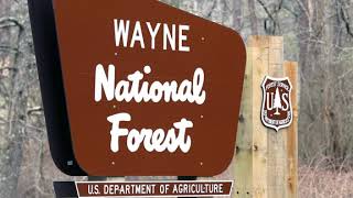 Wayne National Forest | Wikipedia audio article