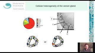 Organoids \u0026 Toxins - from snakebite to DNA-damaging bacteria