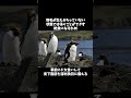 【そうだったんだ！】ペンギンの秘密 雑学 動物 豆知識 自由研究 animals penguin