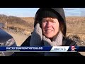 snowy owls captivate birders at duxbury beach