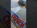 bestly crunch #funny