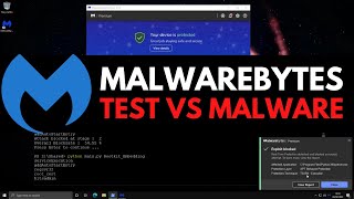 Malwarebytes: Test vs Malware