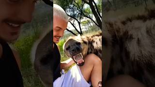 Hyena welcome! 😍😍😱 (4k memes) #shorts