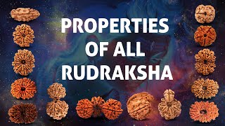 Properties of 1-21 mukhi, Gaurishankar, Trijuti, Garb Gauri Rudraksha | Benefits of Rudraksha beads