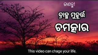 ବ୍ରାହ୍ମ ମୁହୂର୍ତ୍ତ II Brahma Muhurtta II odia motivation II odia moral story in Odia language