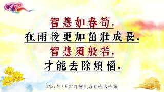 2021年1月21日師父每日佛言佛語(繁體版)