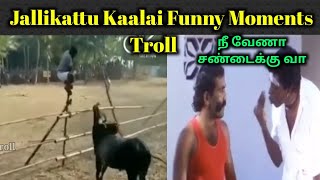 Jallikattu Troll | Pongal Special Troll Video | Jallikattu Troll | Today Troll | Tamil