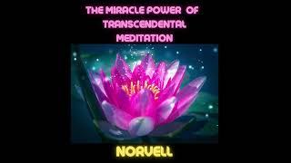 The MIRACLE Power of TRANSCENDENTAL Meditation - Full AUDIOBOOK 5,20 Hours by NORVELL
