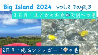 【BigIsland2024】vol2   ハワイ島🏝️2,3日目。お魚🐠いっぱいのシュノーケルと絶品のアフォガード🍨