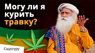 Когда можно курить марихуану, а когда нельзя? Нужна ли легализация?