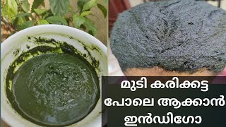 നീലയമരി ഹെയർ ഡൈ | Indigo Powder Hair Dye with Henna |പപ്പായ ഇല ചേർത്താൽ നീലയമരി കരിക്കട്ട പോലെ ആകും