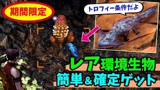 【MHWI】神クエ再配信！レア環境生物「イキサキゲッコー」を確定でゲット！入手方法も紹介／今週のイベントクエスト紹介【モンスターハンターワールド：アイスボーン 攻略】