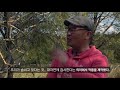 2020 우포생태미술마을 최용선 숨