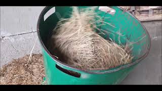 Pelleting and crushing of hay, pellets from hay production, pellets from hay as feed for livestock