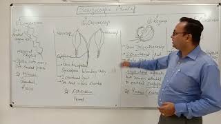 Schizocarpic Fruits By- Dr. Anshul Sharma