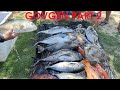 GensanSpearo at Governor Generoso | Daming isda sa Governor Generoso |  Catch and Cook | Part 2