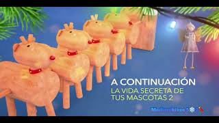 Canal 6 TCS: Bumper A Continuacion: La vida Secreta de tus Mascotas 2 (03-12-2022)