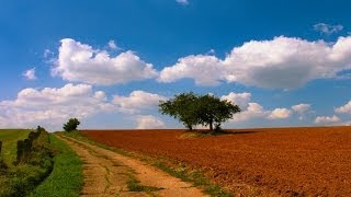 KAISERSLAUTERN + PFALZ / An Autumn Hyperlapse / Die Pfalz im Zeitraffer / XCIV