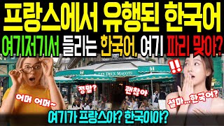 [해외감동사연]프랑스 곳곳에서 들려오는 한국어, 서울대생이 파리로 유학 갔다 경험하게 된 국뽕사연,  한국에 오겠다고 난리 난 프랑스인들!