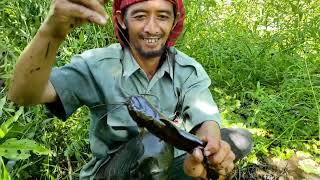 Mancing Najur/Taut dapat Ikan Moma Babon