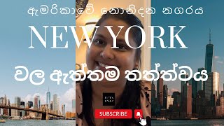 ඇමරිකාවේ නිව්‍ යෝර්ක් ගැන හරියටම දැනගන්න|is New York a good state to live? Channel KD | සිංහල