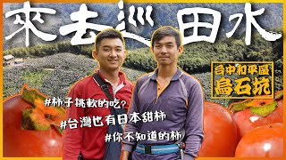 【來去巡田水】EP1 你不知道的柿｜柿子真的要挑軟的吃嗎？｜來自台灣的日本甜柿｜甜柿、澀柿傻傻分不清？｜柿兄弟教你挑柿子