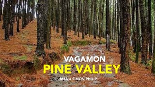 Vagamon Pine Forest | Vagamon Places To Visit | Pine Valley Vagamon