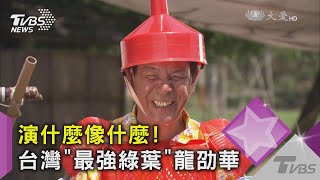 演什麼像什麼!台灣「最強綠葉」龍劭華｜TVBS新聞