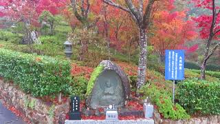 大本山永平寺直末光明寺　紅葉　兵庫県