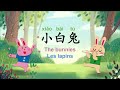 【smap｜chant｜念谣】the bunnies｜小白兔｜les lapins（read vocab sing）