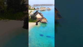 Hilton Maldives Amingiri Resort & Spa-Part 1 #shorts