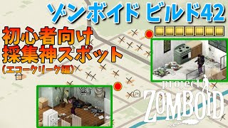 【ゾンボイド】初心者向け！ビルド42採集神スポット！採集についても深掘り【Project Zomboid/Build42】