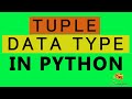 #14 Tuples In Python In Hindi | Complete Python Tutorial For Beginners In Hindi 2020 |